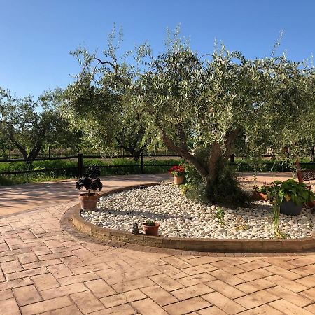 B&B Villa Eden Ortona Exteriör bild